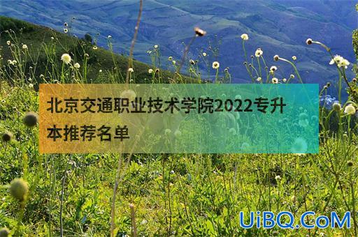 北京交通职业技术学院专升本 北京交通运输职业技术学院可以升本吗？