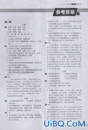 小学语文升学试卷答案，语文阅读为什么要规定标准答案？