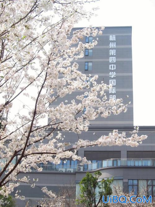 杭四中的升学率 想入读杭四中学国际部，中考要达到多少分？