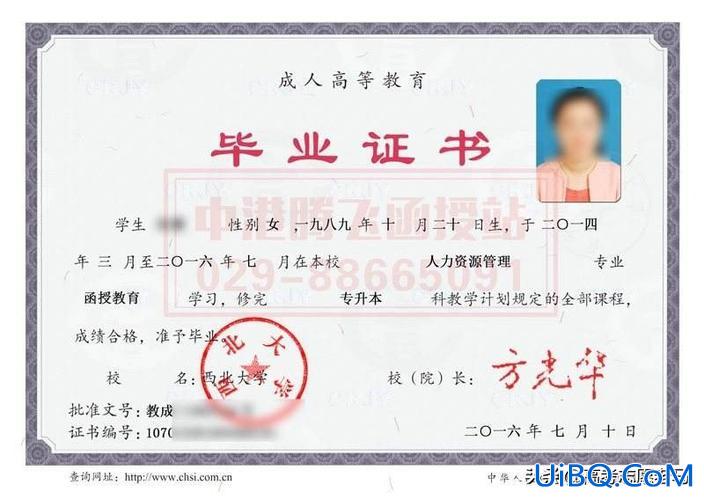 自考专升本是第一学历吗 专升三本第一学历是什么？