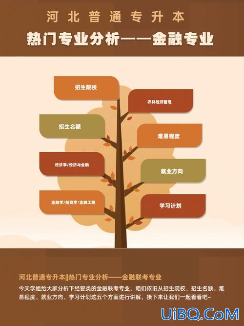 金融管理专升本科难吗 金融管理专科生好升本科吗？