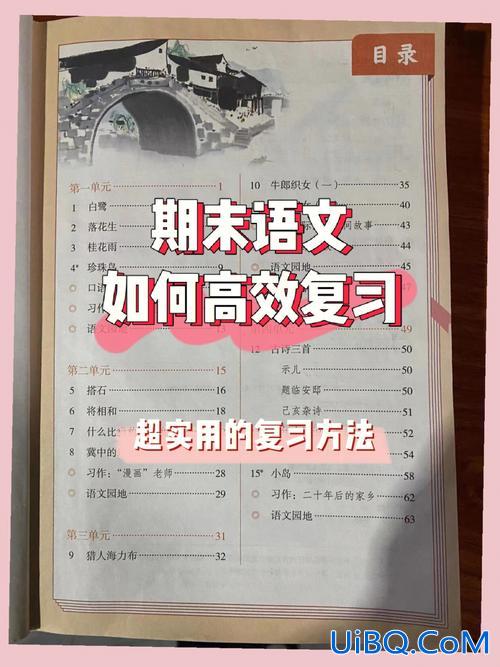 小学语文毕业升学总复习 期末考试将近，小学语文有哪些考点，应该如何高效复习？