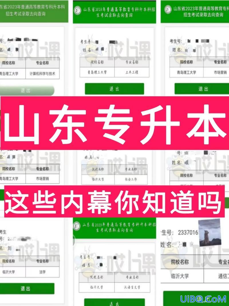 专升本只能升二本吗 专升本是能从专科大学随便升到一个本科大学吗211 985的学校可以吗？