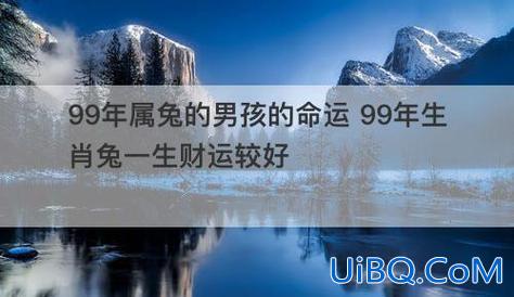 1999年属兔的升学方向(21年大学毕业生属相)？