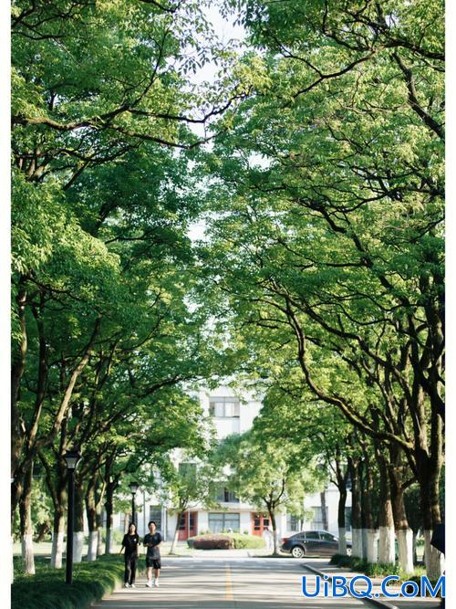 安徽文史哲升学率 安徽大学龙河路校区还有学生吗？