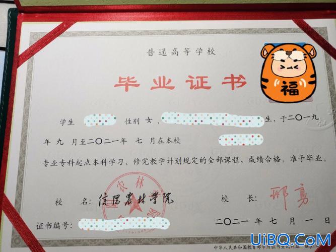 网络教育专升本认可吗 网络教育专升本含金量怎么样，事业单位承认吗？