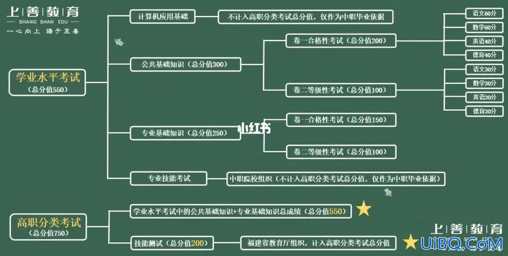 中升学？分类升学啥意思？