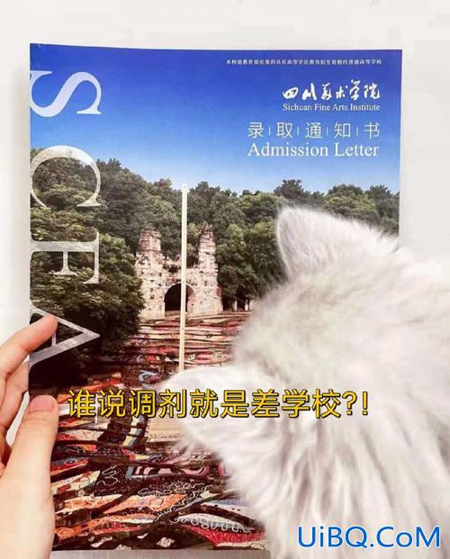 郑州川美考研升学率，练川实验学校怎么样？