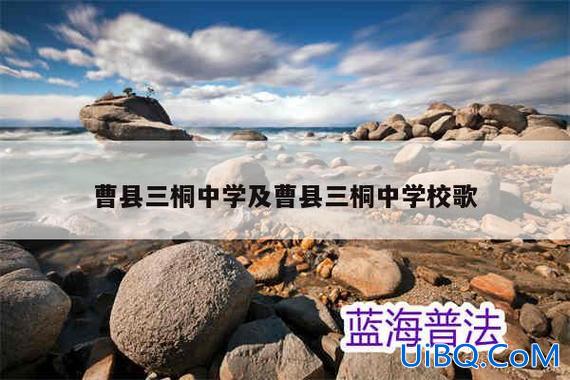 园三升学率 三桐的升学率在全省第几？