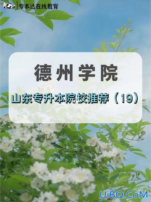 泰山学院可以专升本吗，德州学院，菏泽学院，泰山学院，齐鲁师范学院2016年专升本小学教育的？