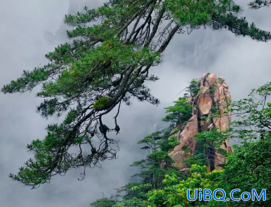黄山提升学历机构哪家好(黄山景区大专学历可以半价吗)？