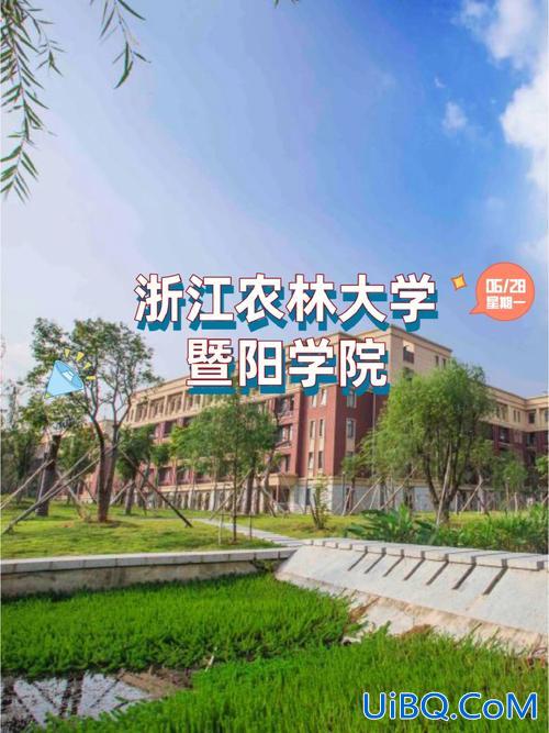 林学院专升本 浙江农林大学暨阳学院有专科吗？