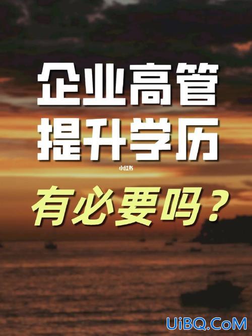 公司高管提升学历 关于高管学历要求的问题？