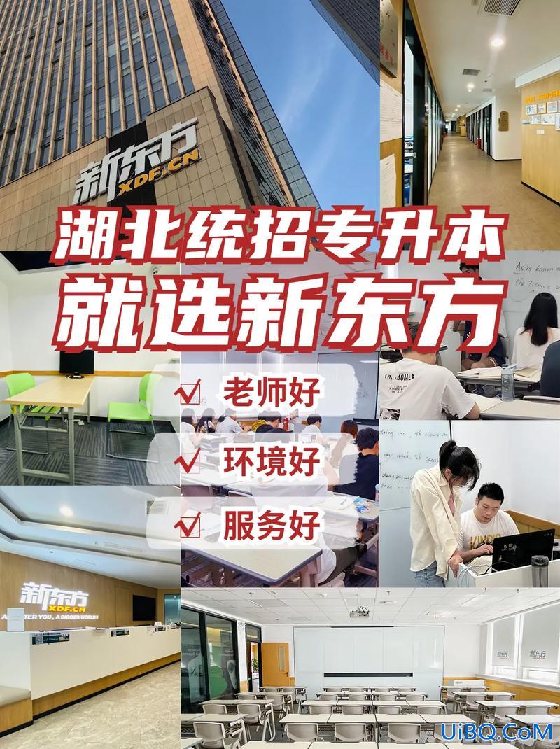 统招专升本培训机构 想要专升本，有什么推荐的机构吗？