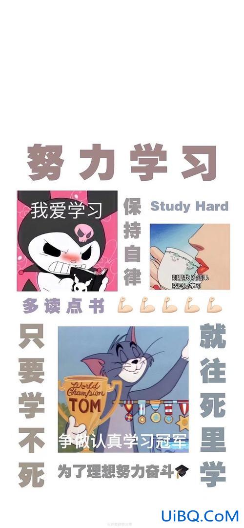 提升学习效率的壁纸，有没有可以激励自己学习不要贪图享乐的话或壁纸？