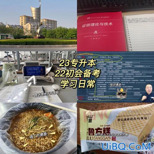 专升本考国网，为什么大专进国家电网比本科吃香？