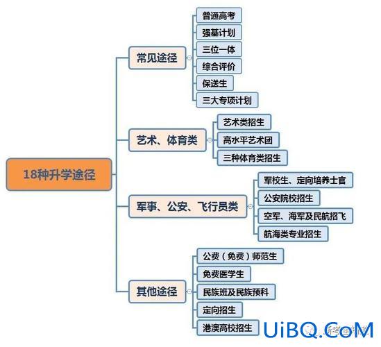 孩子升学路线规划 新高考升学规划的升学路径有哪些？
