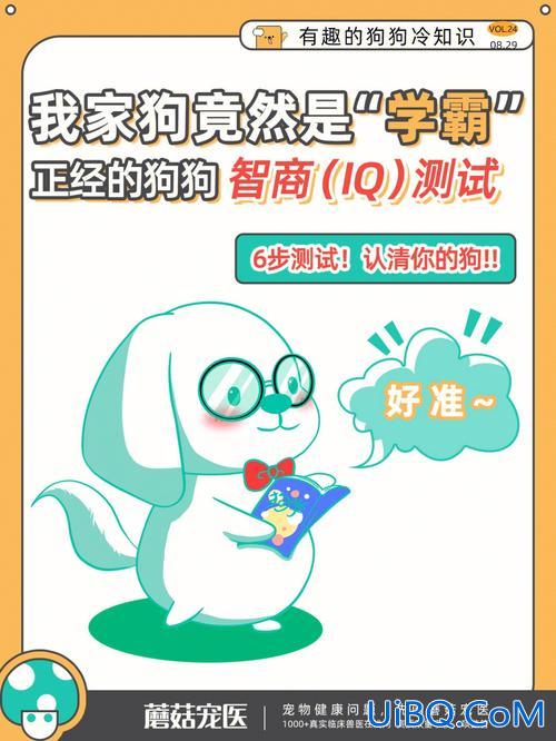 哪些国家升学要测智商的 你知道哪些轰动一时的悬案？