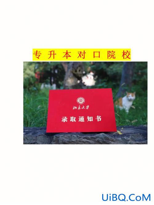 昆明中专升本？昆明理工大学津桥学院2023专升本录取通知书到了吗？