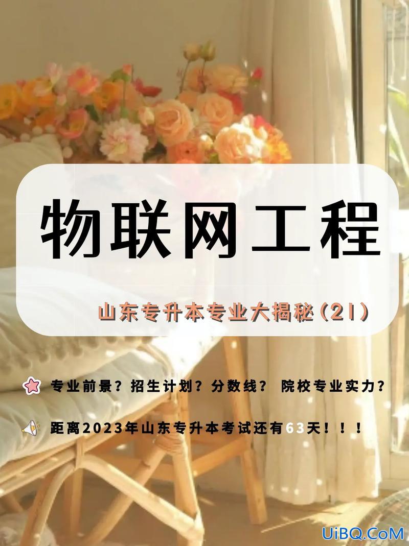 物联网专升本(物联网专升本没考上还可以读哪些学校)？