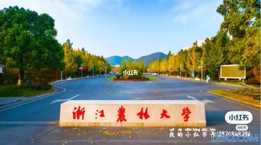 浙江农林大学本科升学情况，请问从浙江农林大学出来会很难就业吗？