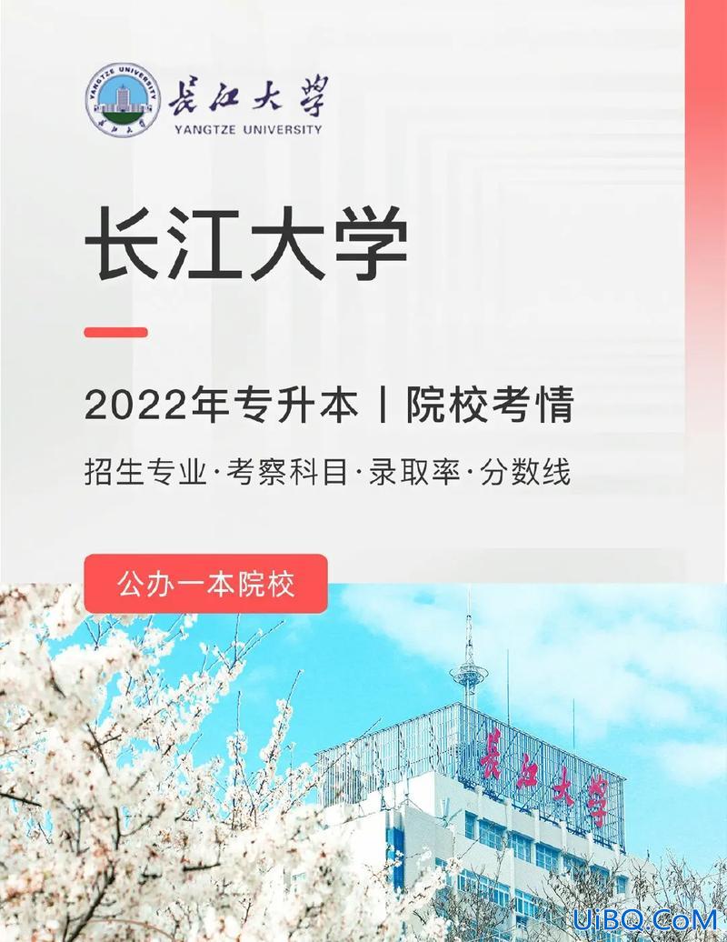 那种专升本好，公办高职专科升本最好的大学？