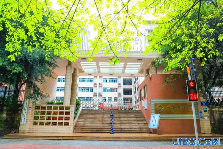 渝中区升学选哪家小学，重庆渝中区那个小学比较好？