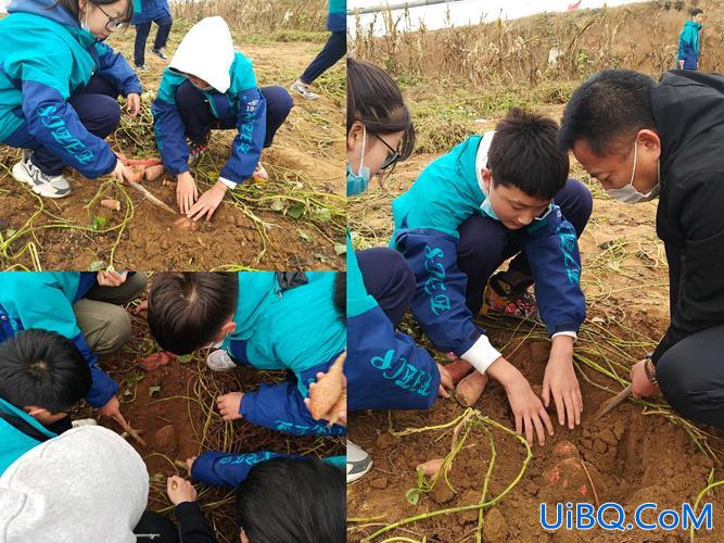 提升学生的实践创造能力？怎样加强学生的实践动手能力？