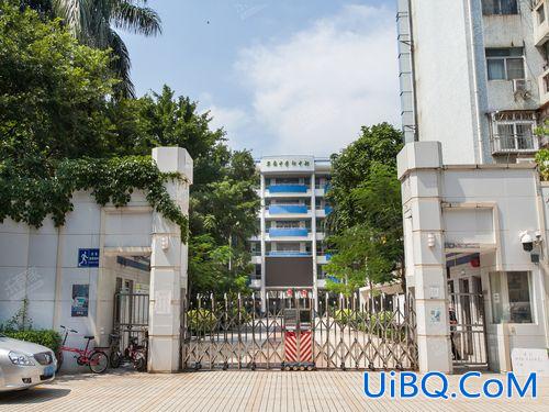 翠园中学本科升学率？桂园中学和翠园中学哪个更好？