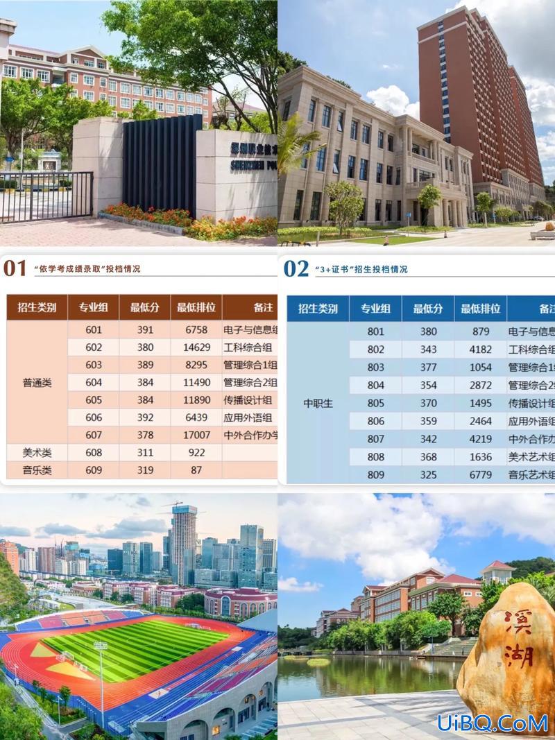 宝安专升本(2023深职院什么专业能升本)？