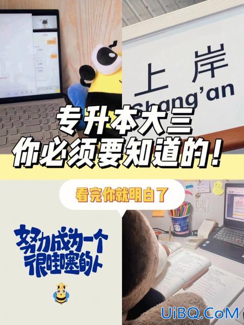 专升本留级 专科大三了可以留一级专升本吗？