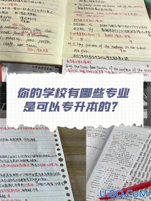 深信专升本？深信院哪些专业可以专升本？