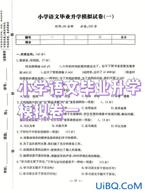 语文小学毕业升学真题卷 小学试卷难度排行？