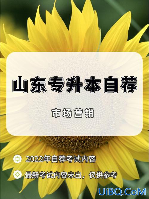 山东专升本市场营销吧？专科市场营销升本可以选什么专业？