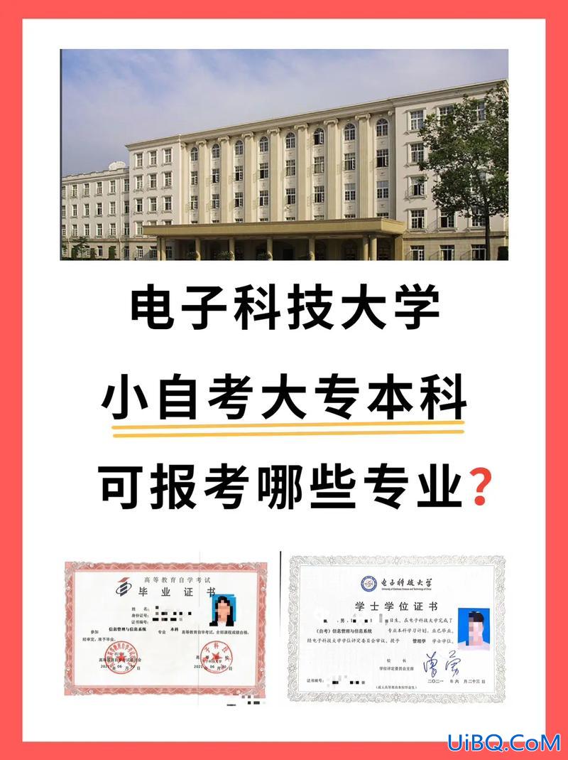 成电本科升学(电子科技大学2+2是什么意思)？