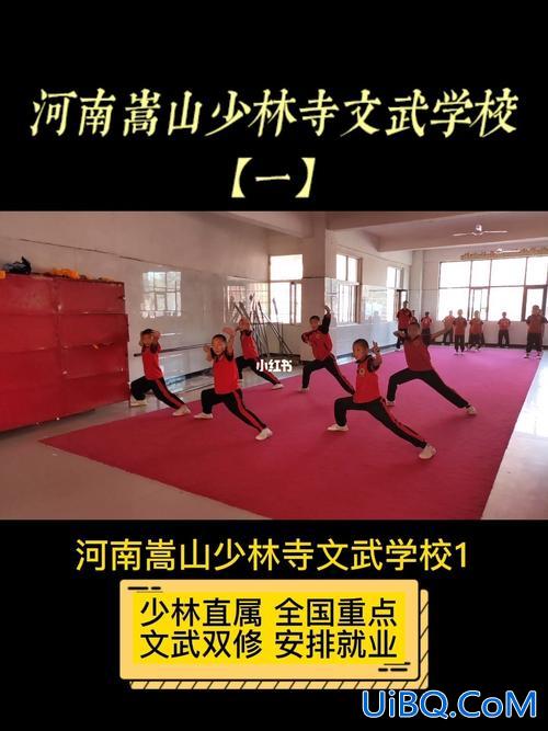 少林寺升学 嵩山少林寺文武学校可以考大学吗？