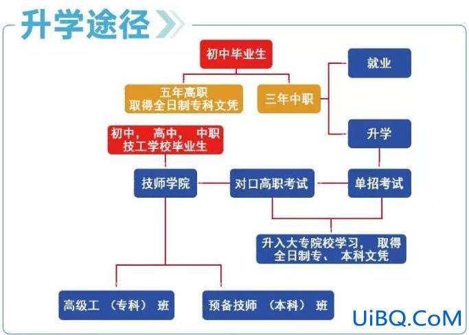 专科生升学路径怎么写？不同分数段适合的升学路径有哪些？
