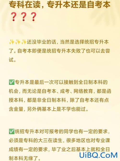专升本能升211.985吗(到底是该专升本还是自考本科呢)？
