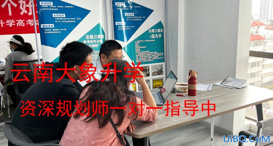 盘龙区高考艺术培训升学率？盘龙城中学排名？