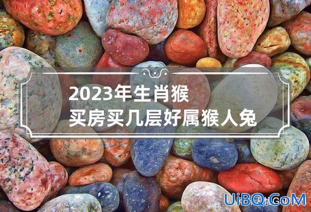 猴人兔年升学？兔年可以建房吗？