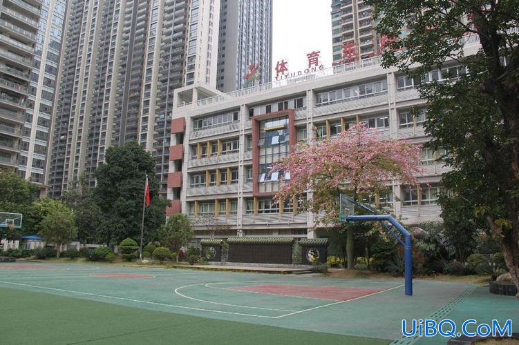体育东路小学直升学校吗 广州市天河区体育东路小学怎么样？