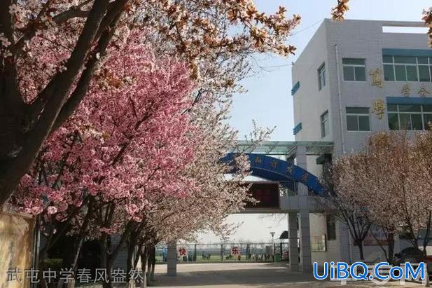 阎良区提升学历的方式在哪，阎良职中和武屯职中哪个好？