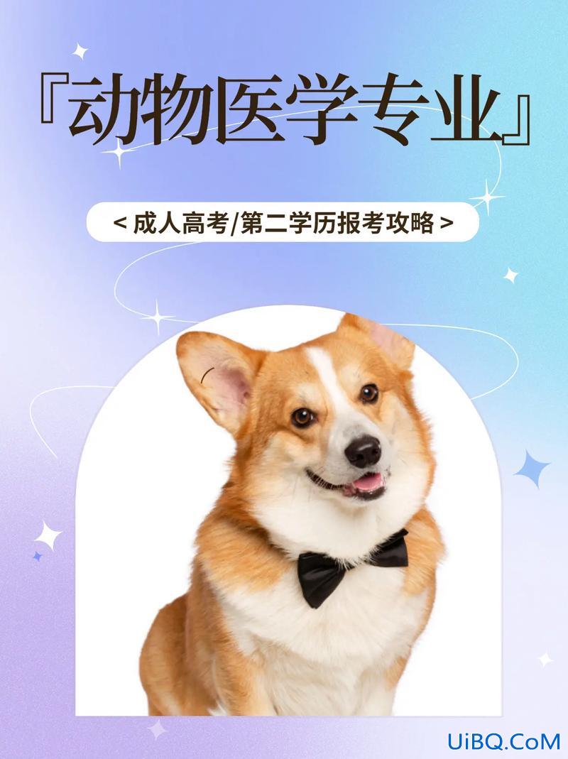 兽医专升本？兽医专科生有必要升本吗？