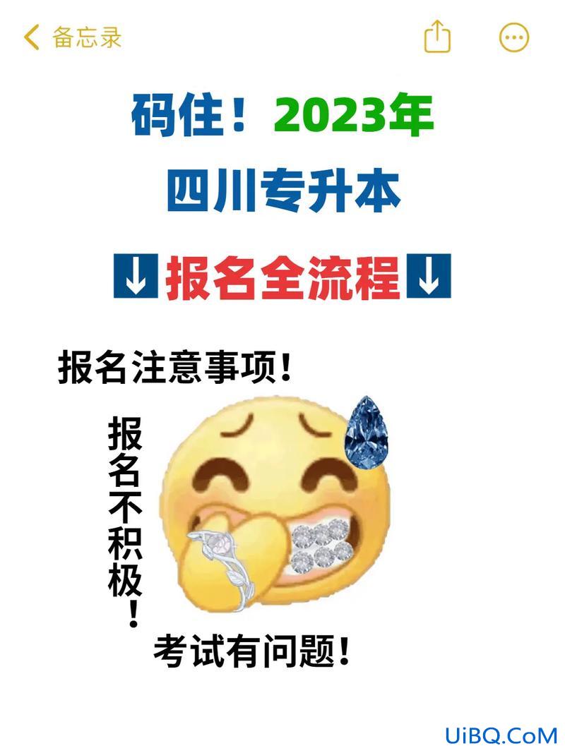 国外专升本 国际院校专升本怎么报名？