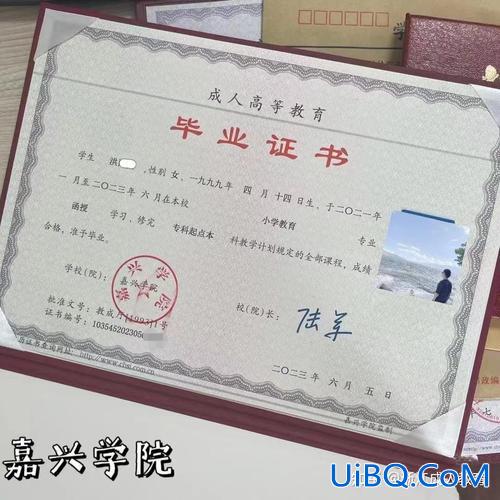 专升本录取查询，专转本录取通知书怎么查询？