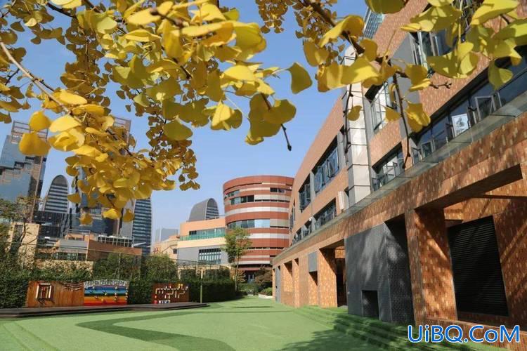 犀浦外国语学校升学率，成外附小哪个校区最好？
