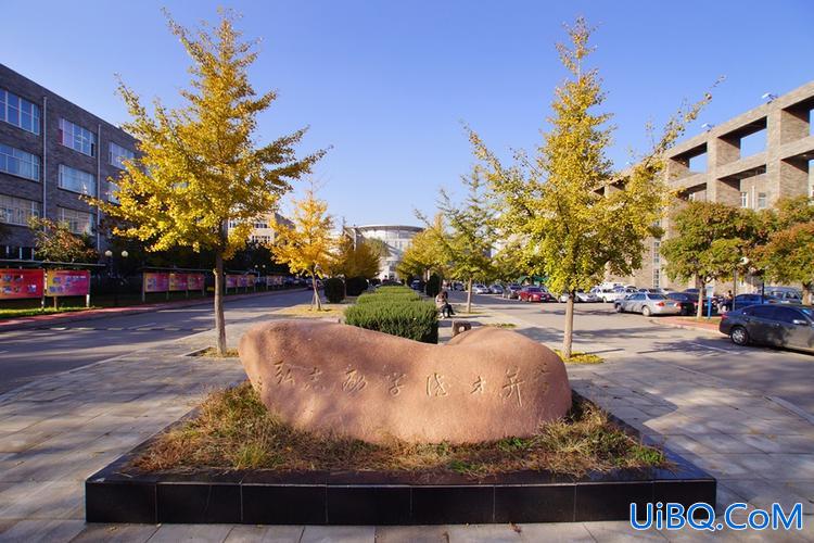 沈阳理工升学率高吗(沈阳理工大学保研率)？